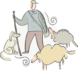 Shepherd w sheep