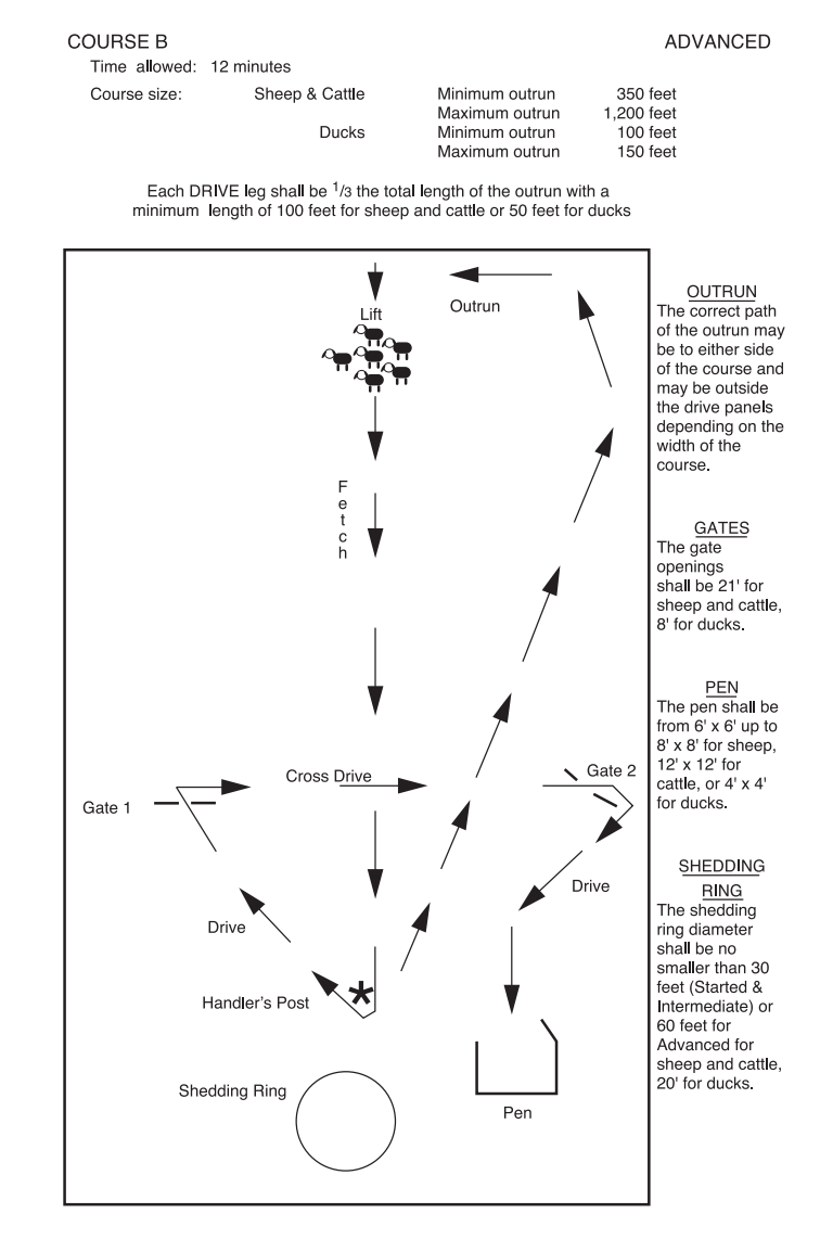 AKC B-course diagram