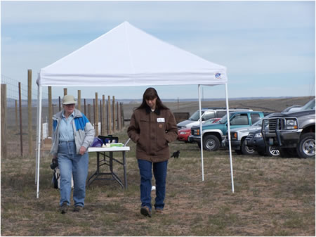 Herding A Course Parking