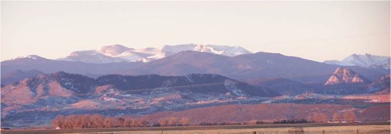 Herding in Northern Colorado